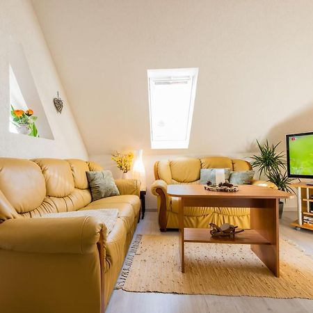 Waldblickwohnung Mit Schoener Terrasse Und Kamin 세브니츠 외부 사진