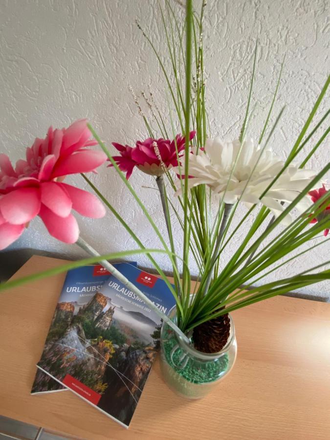 Waldblickwohnung Mit Schoener Terrasse Und Kamin 세브니츠 외부 사진