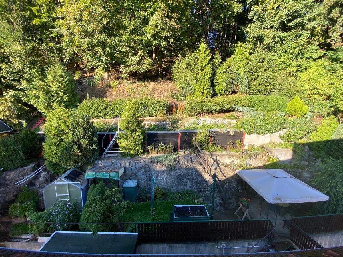 Waldblickwohnung Mit Schoener Terrasse Und Kamin 세브니츠 외부 사진