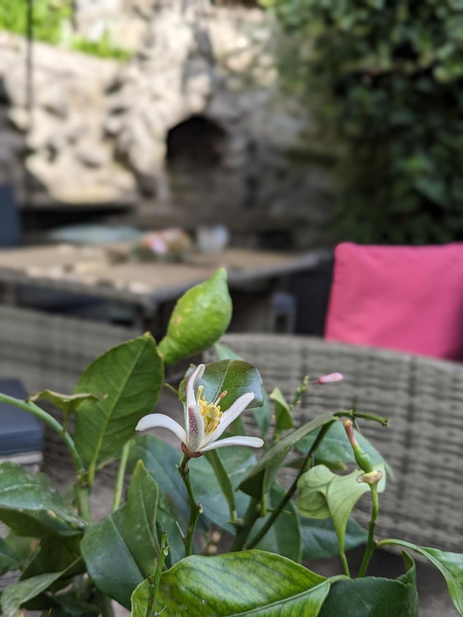 Waldblickwohnung Mit Schoener Terrasse Und Kamin 세브니츠 외부 사진