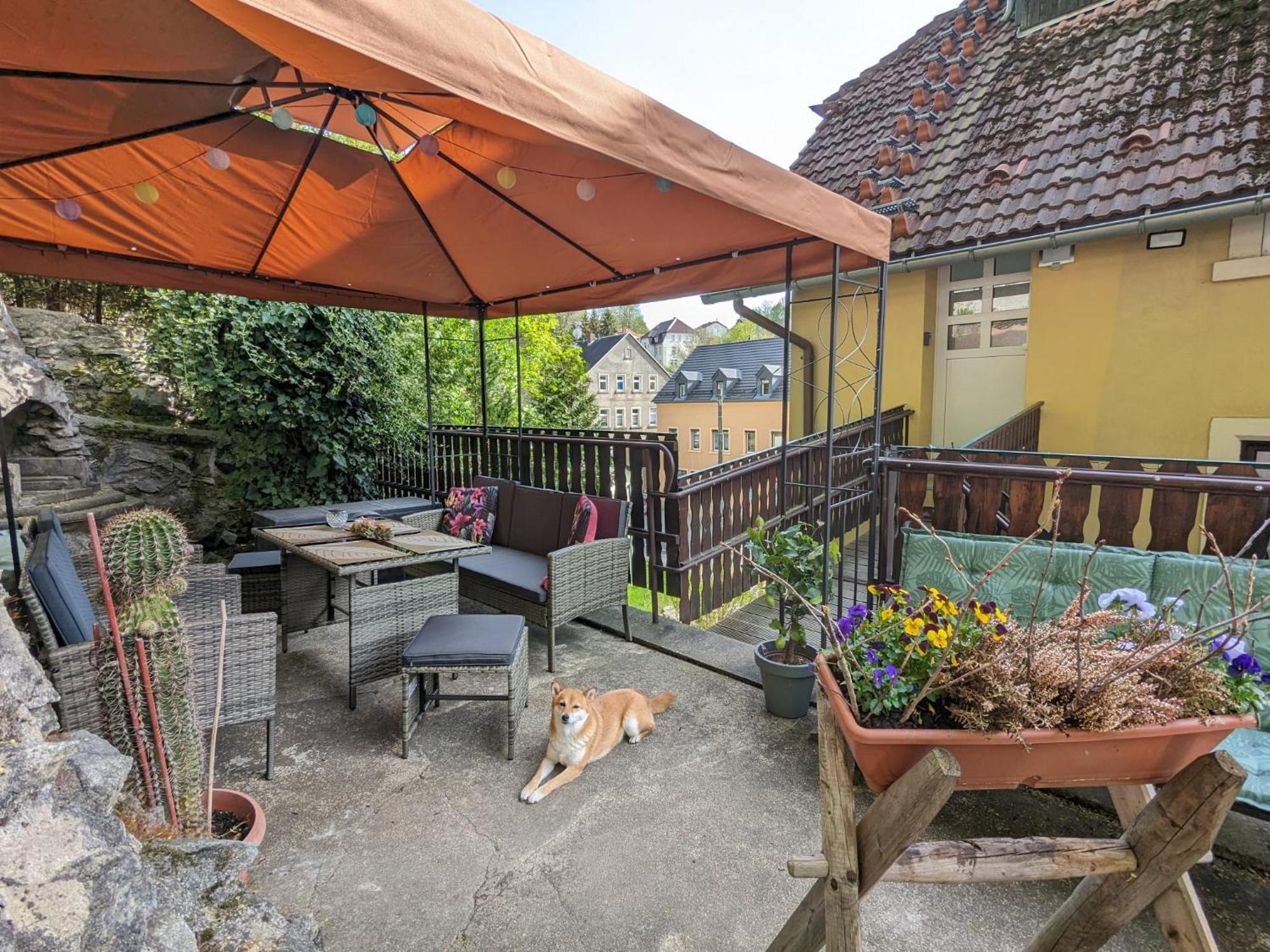 Waldblickwohnung Mit Schoener Terrasse Und Kamin 세브니츠 외부 사진